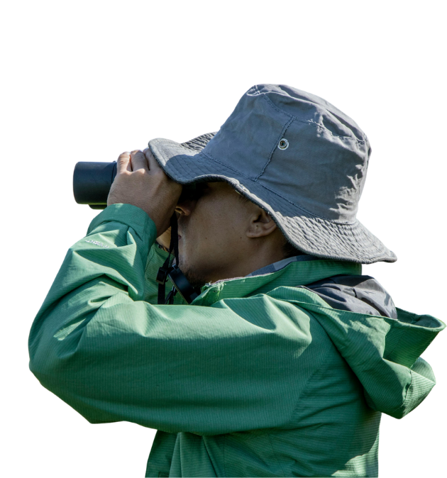 Looking for a new website